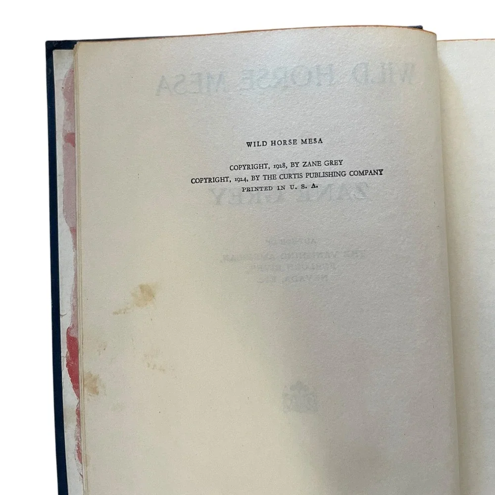 Wild Horse Mesa Zane Grey 1928 Hardcover Antiquarian Collectible Western Novel